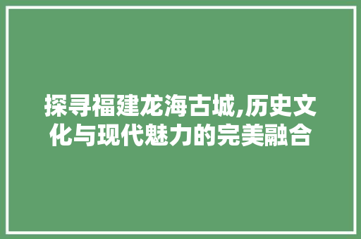 探寻福建龙海古城,历史文化与现代魅力的完美融合