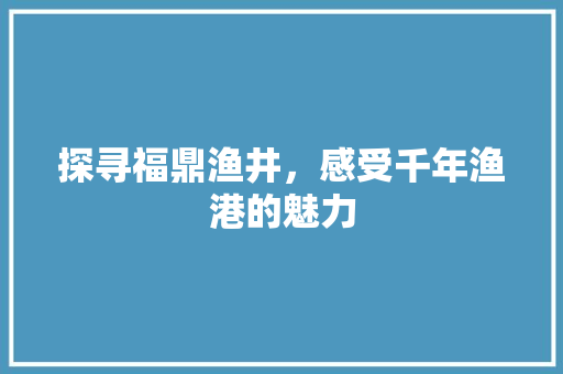 探寻福鼎渔井，感受千年渔港的魅力