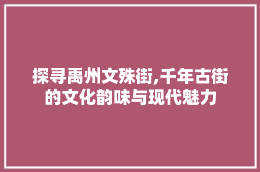 探寻禹州文殊街,千年古街的文化韵味与现代魅力