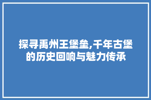 探寻禹州王堡垒,千年古堡的历史回响与魅力传承