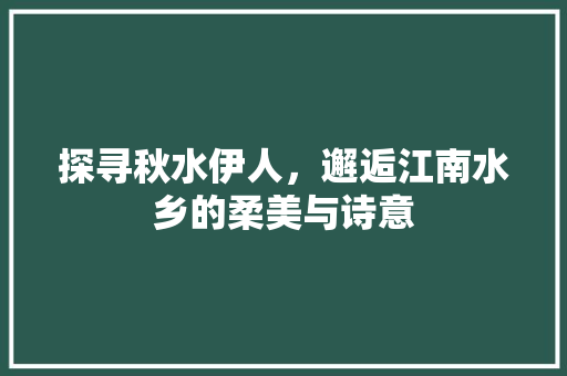 探寻秋水伊人，邂逅江南水乡的柔美与诗意