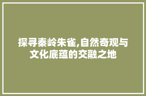 探寻秦岭朱雀,自然奇观与文化底蕴的交融之地