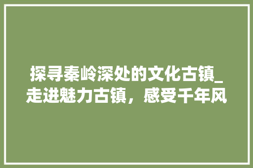 探寻秦岭深处的文化古镇_走进魅力古镇，感受千年风情