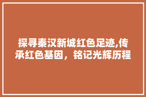 探寻秦汉新城红色足迹,传承红色基因，铭记光辉历程