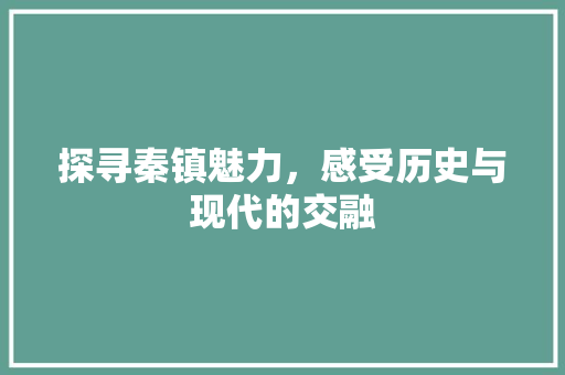 探寻秦镇魅力，感受历史与现代的交融