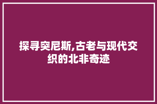 探寻突尼斯,古老与现代交织的北非奇迹