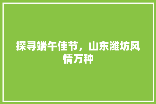 探寻端午佳节，山东潍坊风情万种