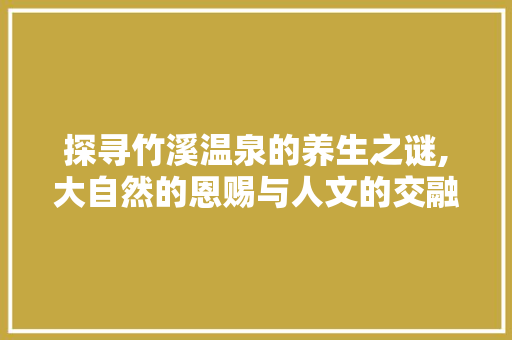 探寻竹溪温泉的养生之谜,大自然的恩赐与人文的交融