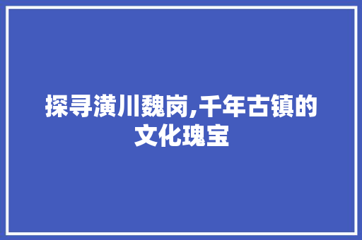 探寻潢川魏岗,千年古镇的文化瑰宝