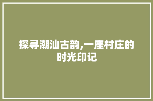 探寻潮汕古韵,一座村庄的时光印记