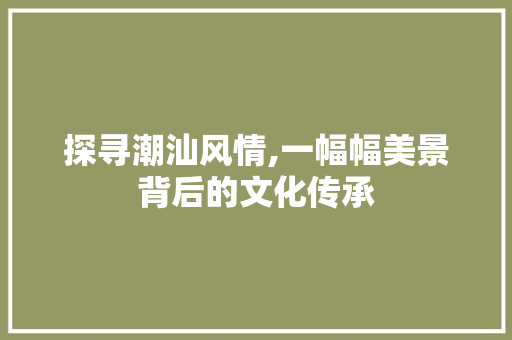 探寻潮汕风情,一幅幅美景背后的文化传承