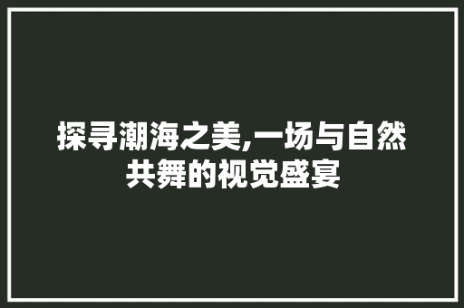 探寻潮海之美,一场与自然共舞的视觉盛宴