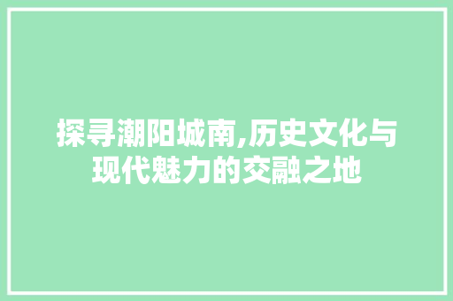 探寻潮阳城南,历史文化与现代魅力的交融之地