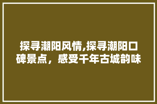 探寻潮阳风情,探寻潮阳口碑景点，感受千年古城韵味