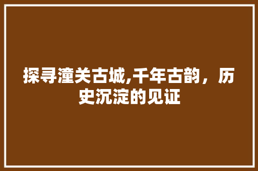 探寻潼关古城,千年古韵，历史沉淀的见证