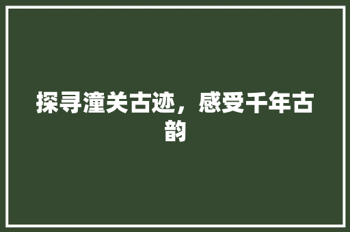 探寻潼关古迹，感受千年古韵