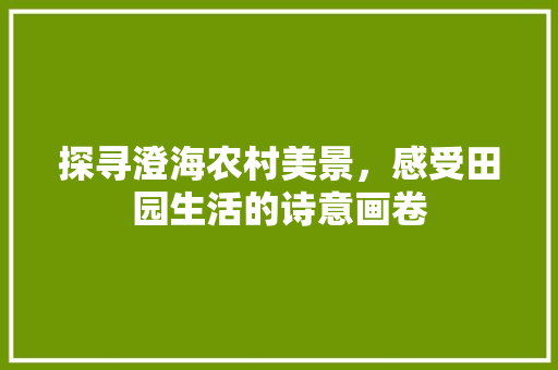 探寻澄海农村美景，感受田园生活的诗意画卷