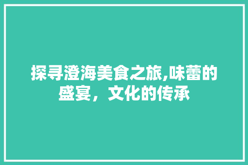 探寻澄海美食之旅,味蕾的盛宴，文化的传承