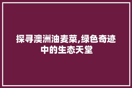 探寻澳洲油麦菜,绿色奇迹中的生态天堂