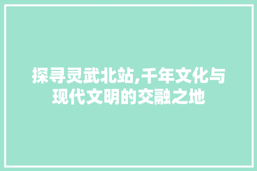 探寻灵武北站,千年文化与现代文明的交融之地