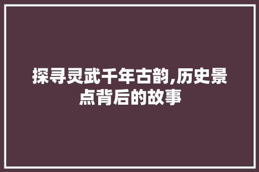 探寻灵武千年古韵,历史景点背后的故事