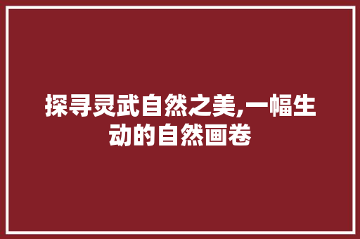 探寻灵武自然之美,一幅生动的自然画卷