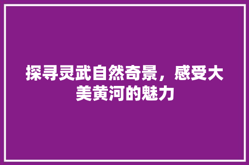 探寻灵武自然奇景，感受大美黄河的魅力