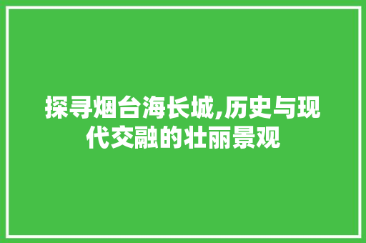 探寻烟台海长城,历史与现代交融的壮丽景观