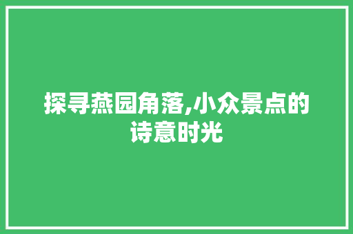 探寻燕园角落,小众景点的诗意时光