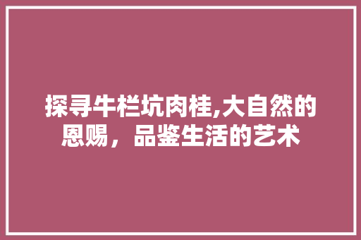 探寻牛栏坑肉桂,大自然的恩赐，品鉴生活的艺术