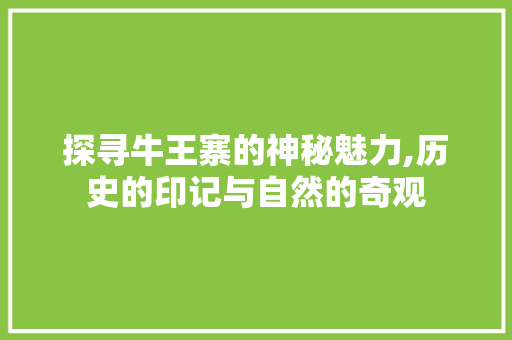 探寻牛王寨的神秘魅力,历史的印记与自然的奇观