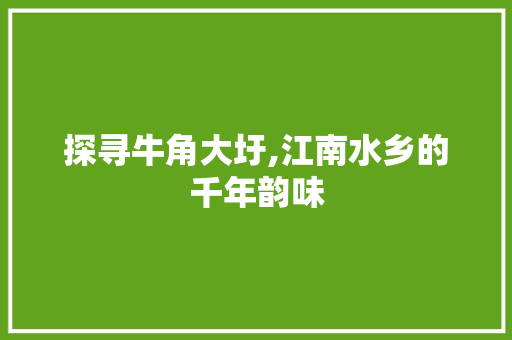 探寻牛角大圩,江南水乡的千年韵味