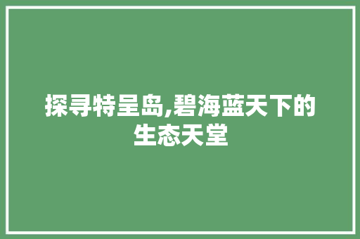 探寻特呈岛,碧海蓝天下的生态天堂