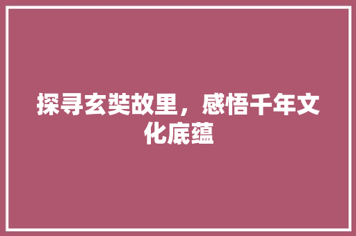 探寻玄奘故里，感悟千年文化底蕴