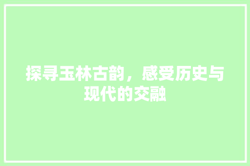 探寻玉林古韵，感受历史与现代的交融