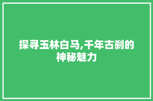 探寻玉林白马,千年古刹的神秘魅力