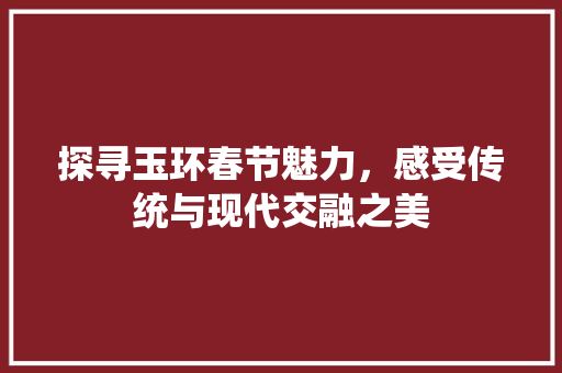 探寻玉环春节魅力，感受传统与现代交融之美