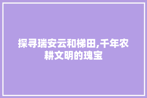 探寻瑞安云和梯田,千年农耕文明的瑰宝