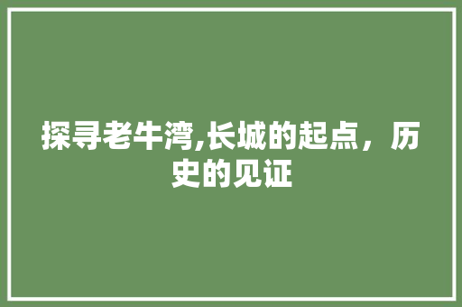 探寻老牛湾,长城的起点，历史的见证