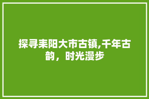 探寻耒阳大市古镇,千年古韵，时光漫步