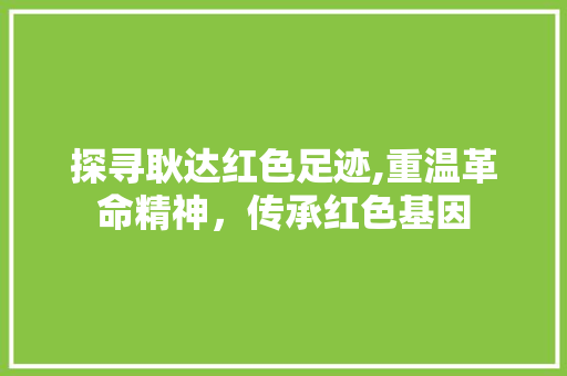 探寻耿达红色足迹,重温革命精神，传承红色基因