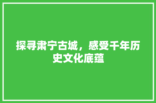 探寻肃宁古城，感受千年历史文化底蕴