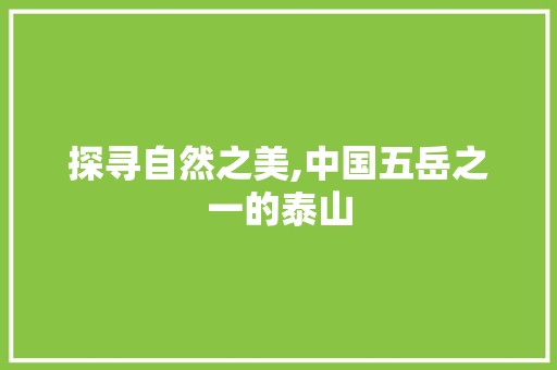 探寻自然之美,中国五岳之一的泰山