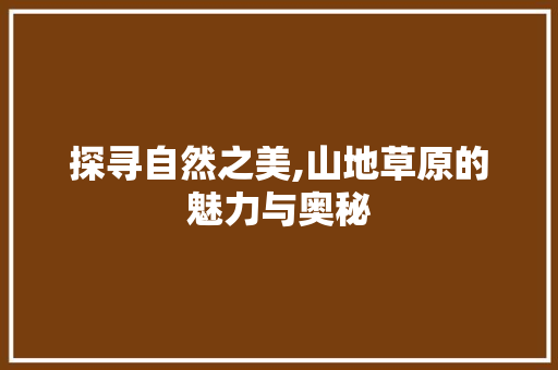 探寻自然之美,山地草原的魅力与奥秘