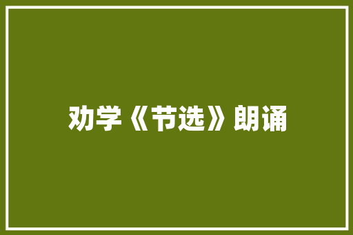 冬日暖阳下的亳州,探寻千年古都的冬季魅力  第1张