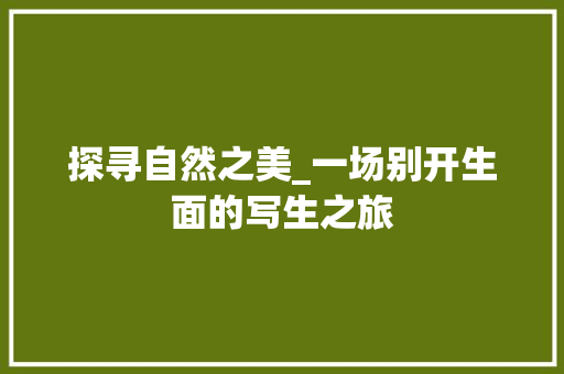 探寻自然之美_一场别开生面的写生之旅