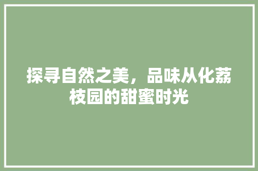 探寻自然之美，品味从化荔枝园的甜蜜时光