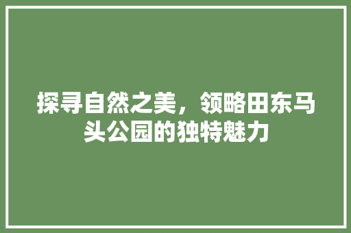 探寻自然之美，领略田东马头公园的独特魅力