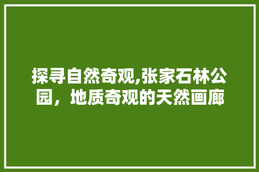 探寻自然奇观,张家石林公园，地质奇观的天然画廊