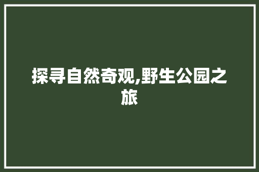 探寻自然奇观,野生公园之旅